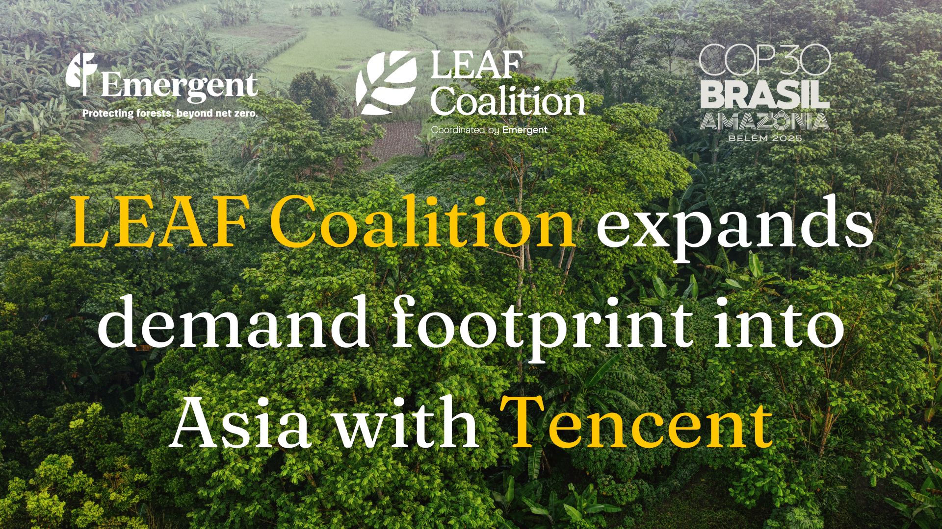 LEAF Coalition expands demand footprint into Asia with Tencent