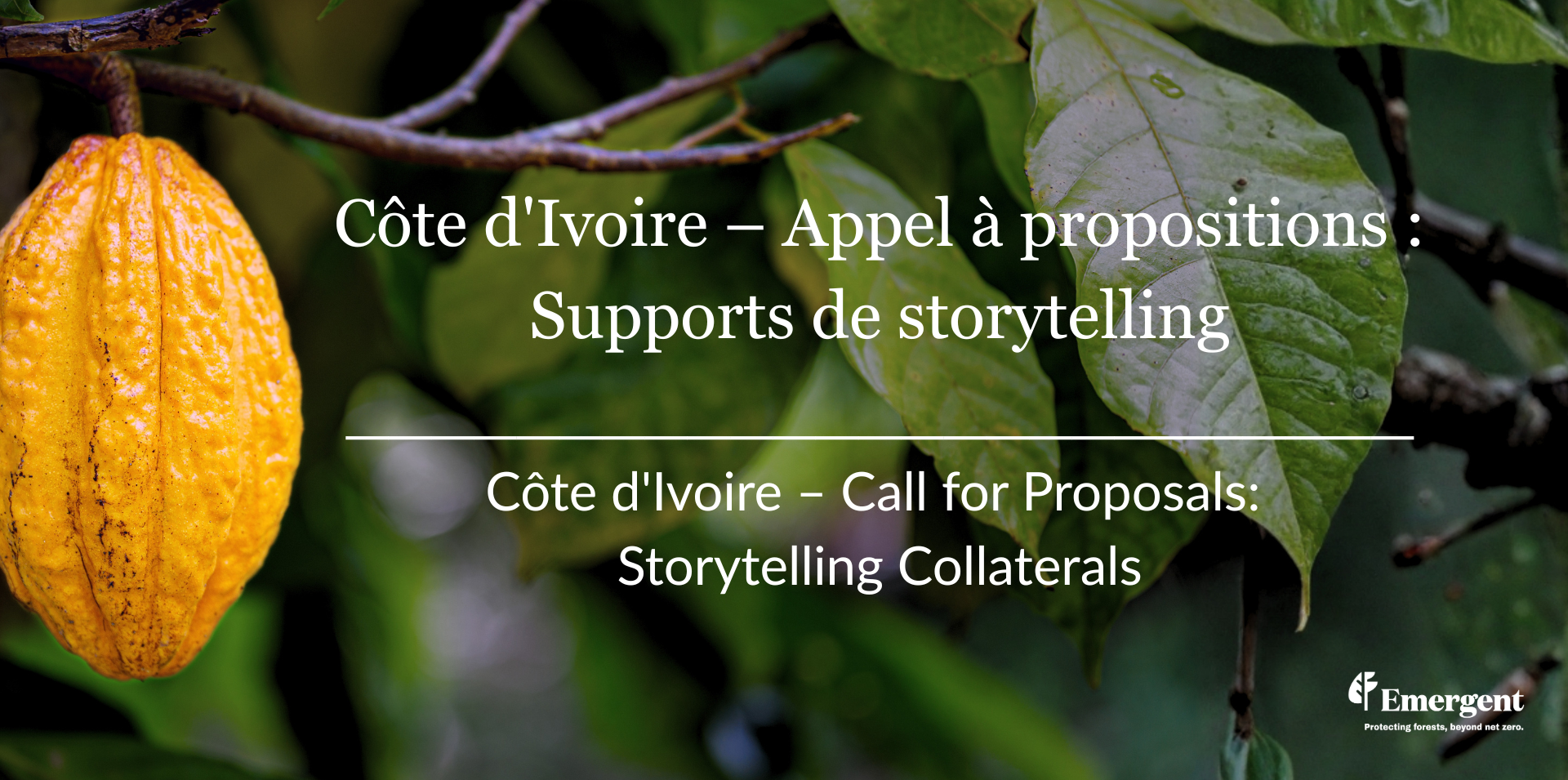 Emergent launches CFP for Services in Côte d'Ivoire