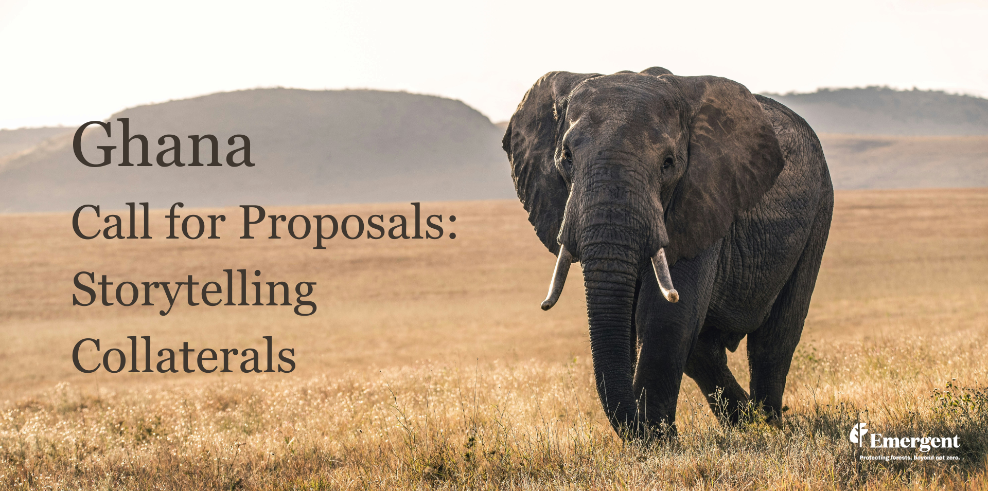 Emergent launches CFP for Services in Ghana