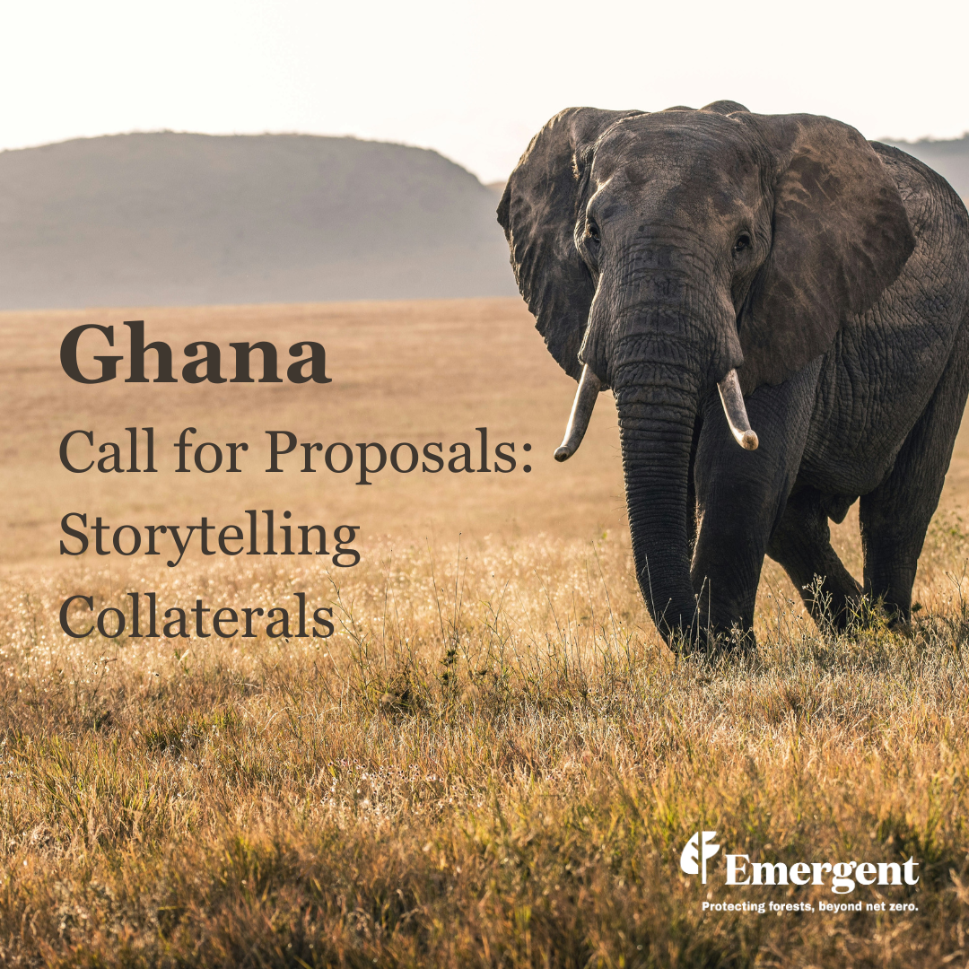 Emergent launches CFP for Services in Ghana